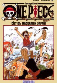 One Piece Renkli